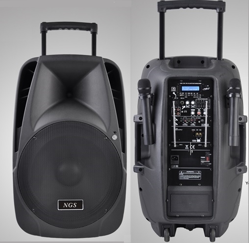 Акустическая система NGS PMQ15AMFQ V2 BP-BT 15