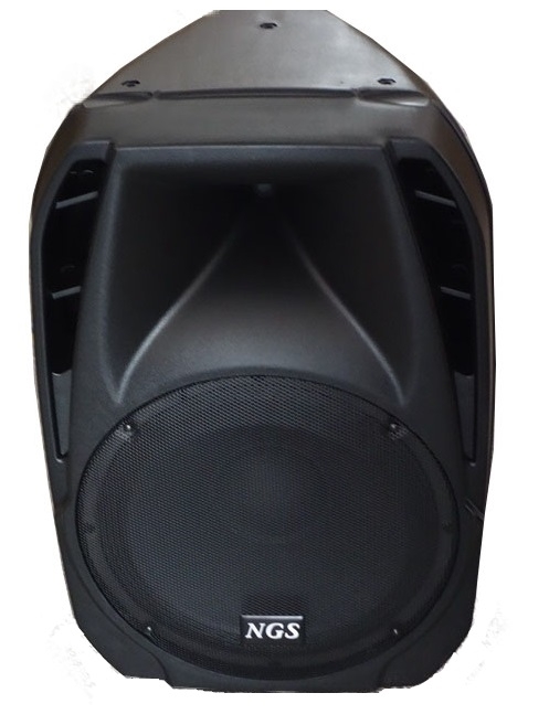 Активная акустическая система NGS PMQ10AMK-BT 10``